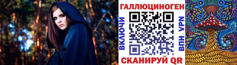 закладка  Николаевск  Псилоцибиновые грибы Cubensis 